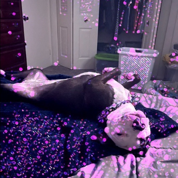 Meet your Posher, Charles - Picture 4 of 4